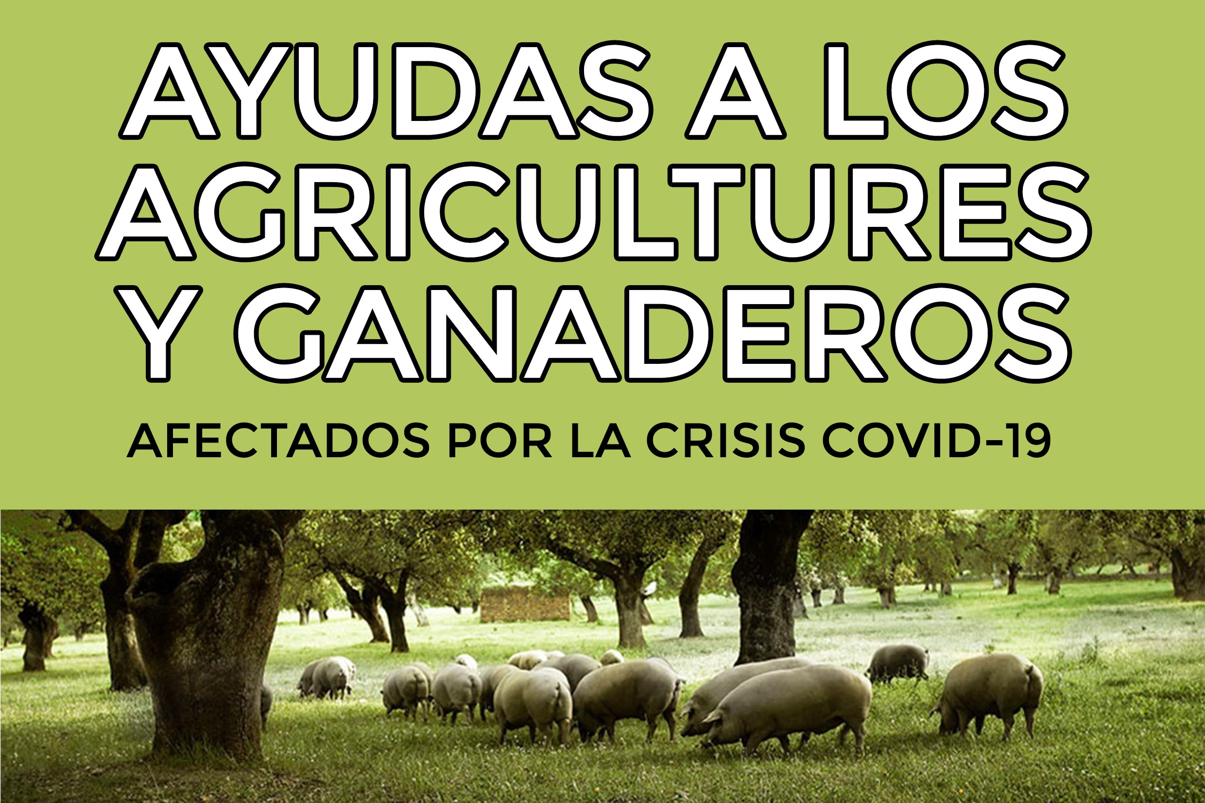 AYUDAS GANADEROS Y AGRICULTORES 4
