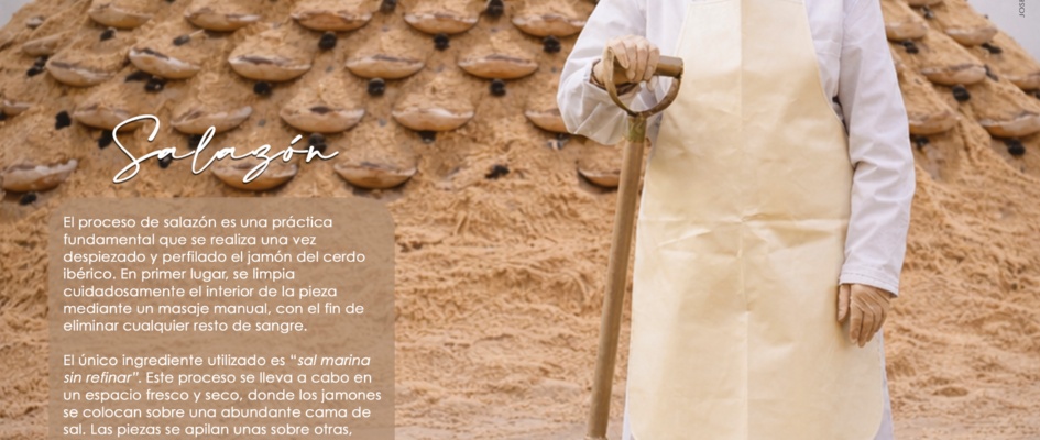 CARTEL_RITO_GASTRO XV_2026-V2 copia