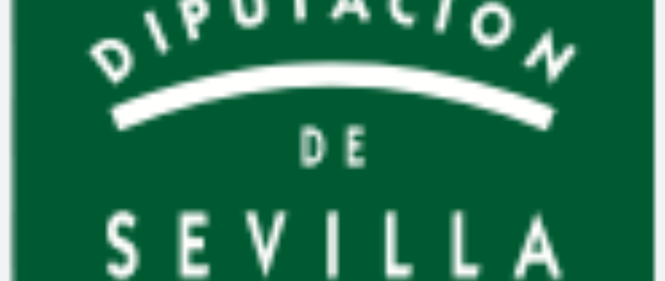 DIPUTACION copia