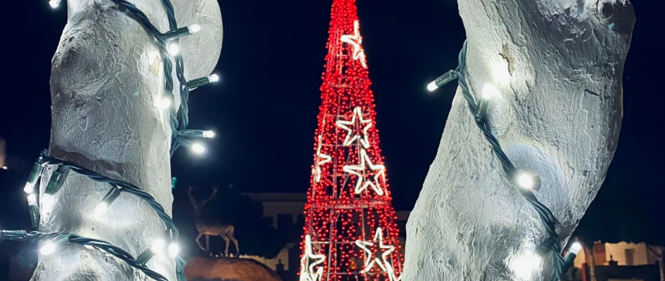 V CONCURSO DE DECORACIÓN NAVIDEÑA