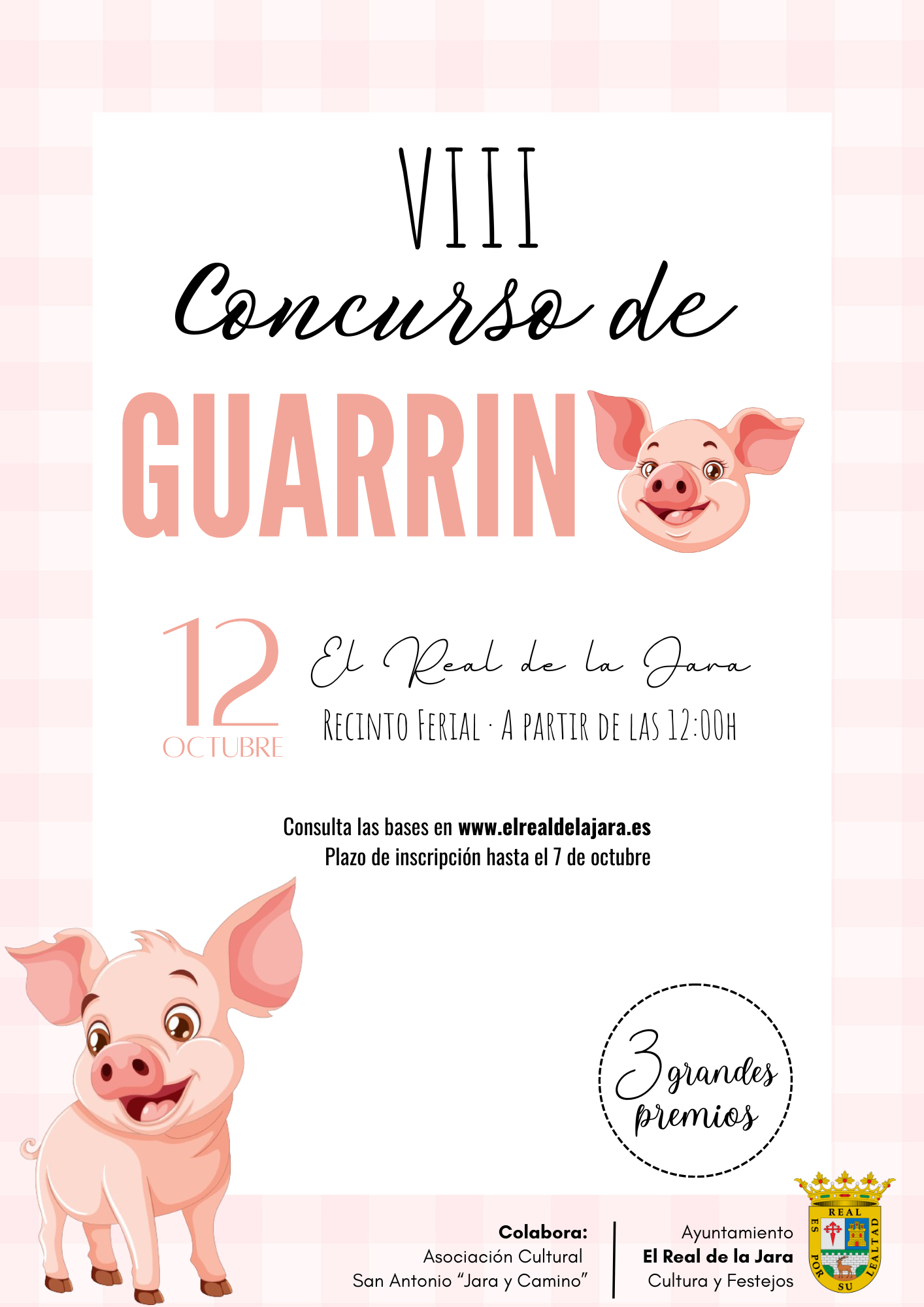 VIII Concurso de Guarrino