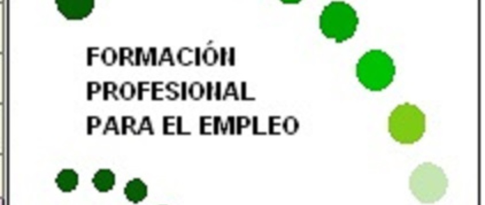 logo_FPE